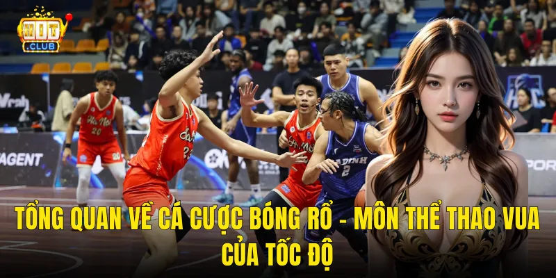 Tổng Quan Về Cá Cược Bóng Rổ – Môn Thể Thao Vua Của Tốc Độ