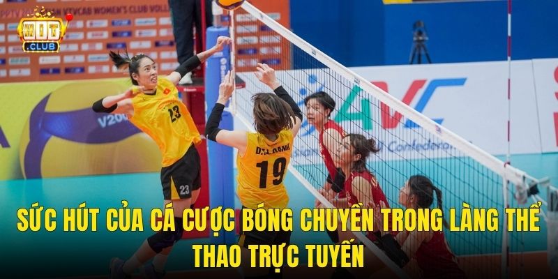 Sức Hút Của Cá Cược Bóng Chuyền Trong Làng Thể Thao Trực Tuyến