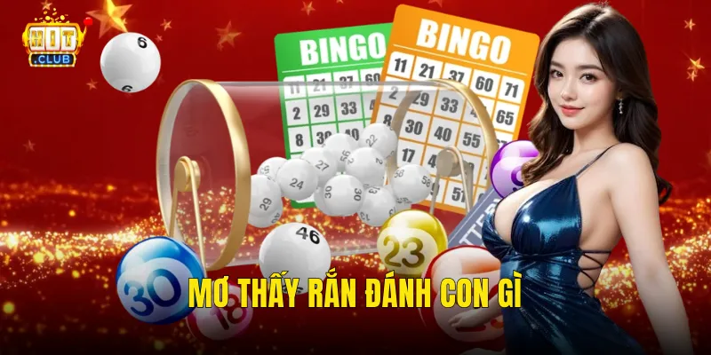 Mơ Thấy Rắn Đánh Con Gì