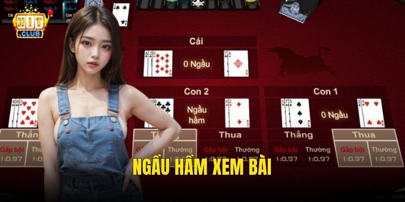 ngầu hầm xem bài