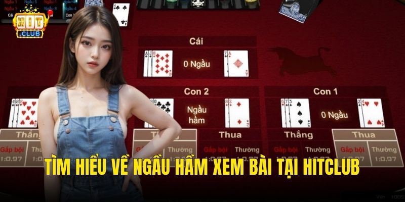 Tìm hiểu về ngầu hầm xem bài tại hitclub