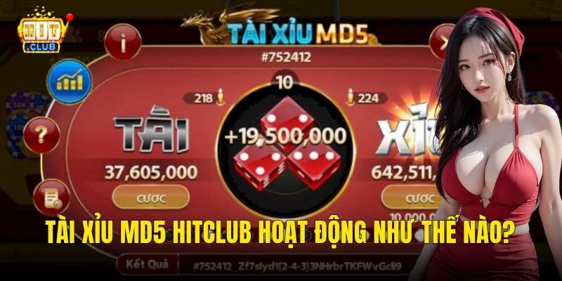 Tài xỉu MD5 hitclub hoạt động như thế nào?