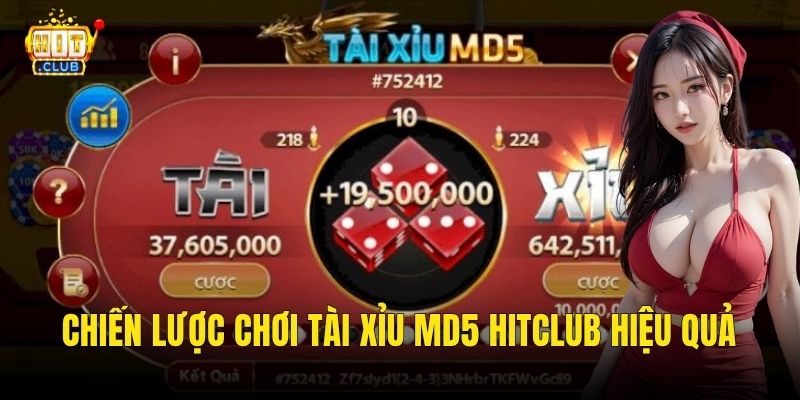 Chiến lược chơi tài xỉu MD5 hitclub hiệu quả