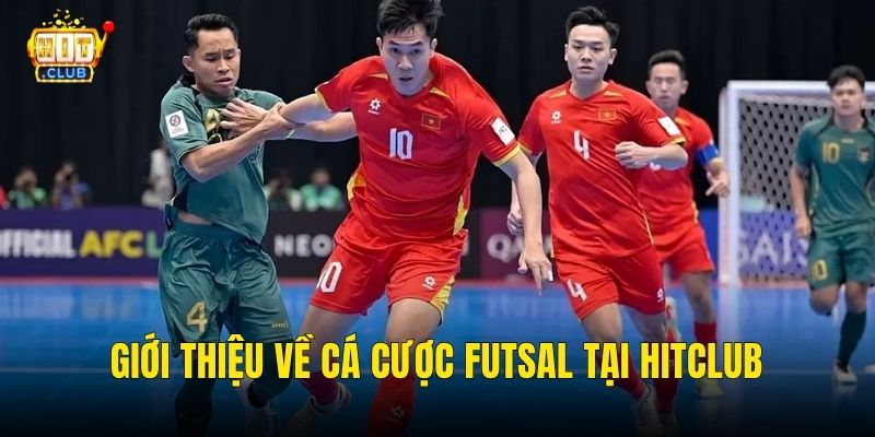 Giới thiệu về cá cược futsal tại hitclub